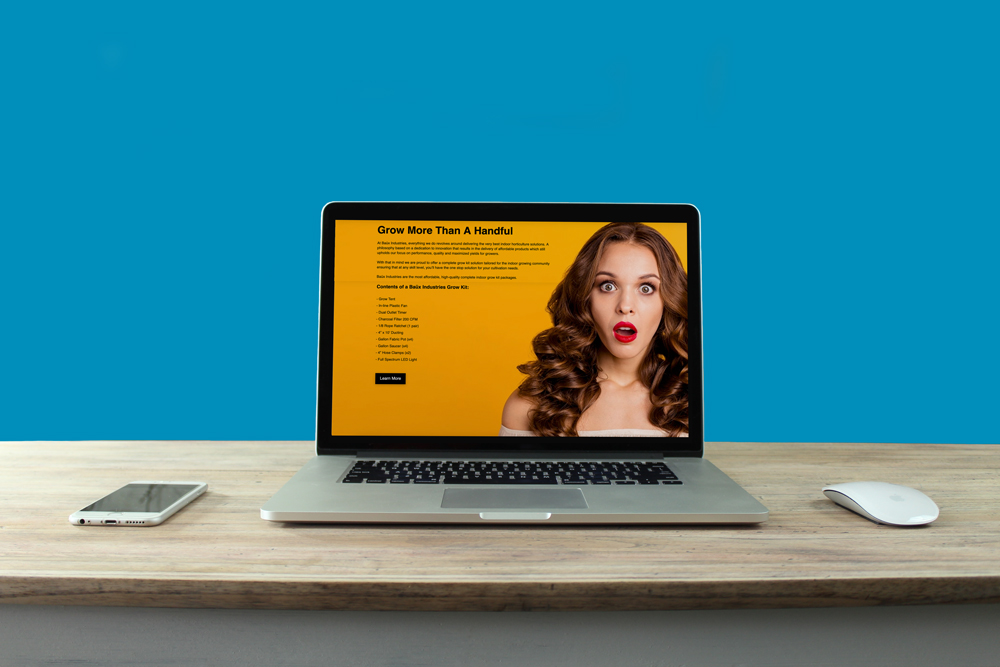 BillyAdamJamesPortfolio-BaüxINdustries-Wesbite-Example-3 BillyAdamJamesPortfolio-BaüxINdustries-Wesbite-Example-3