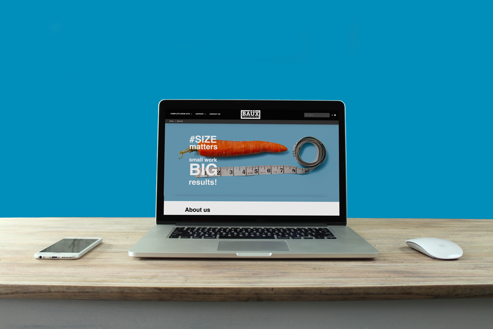 BillyAdamJamesPortfolio-BaüxINdustries-Wesbite-Example-4 BillyAdamJamesPortfolio-BaüxINdustries-Wesbite-Example-4