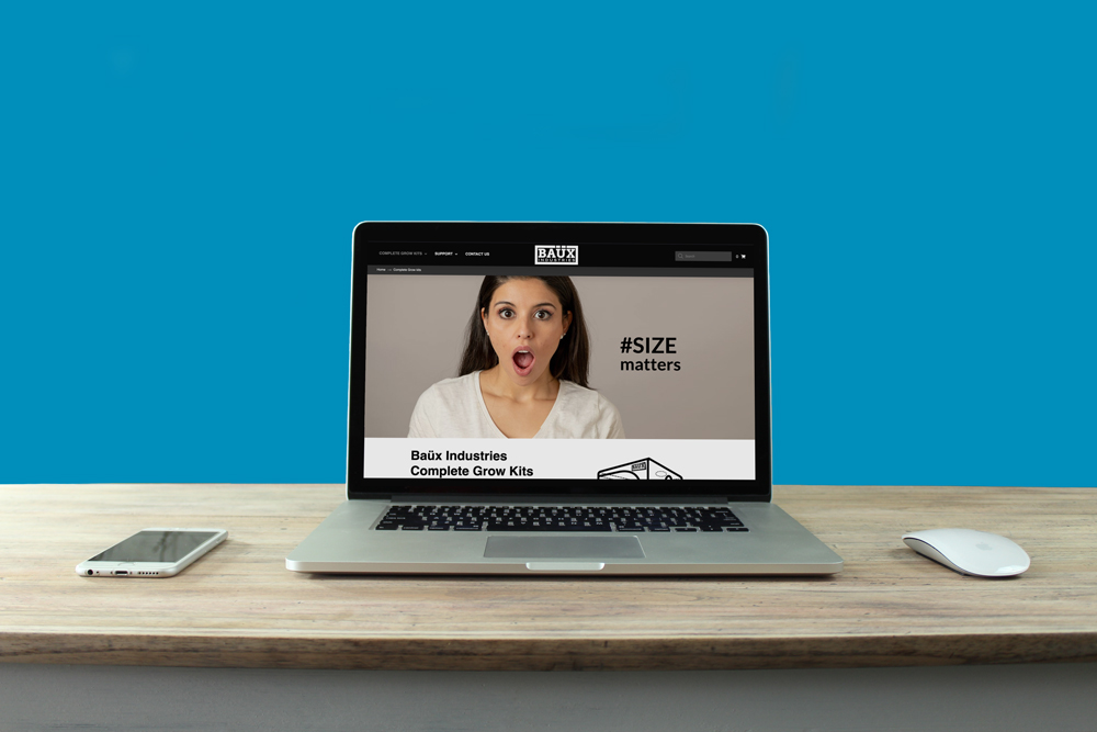 BillyAdamJamesPortfolio-BaüxINdustries-Wesbite-Example-5 BillyAdamJamesPortfolio-BaüxINdustries-Wesbite-Example-5