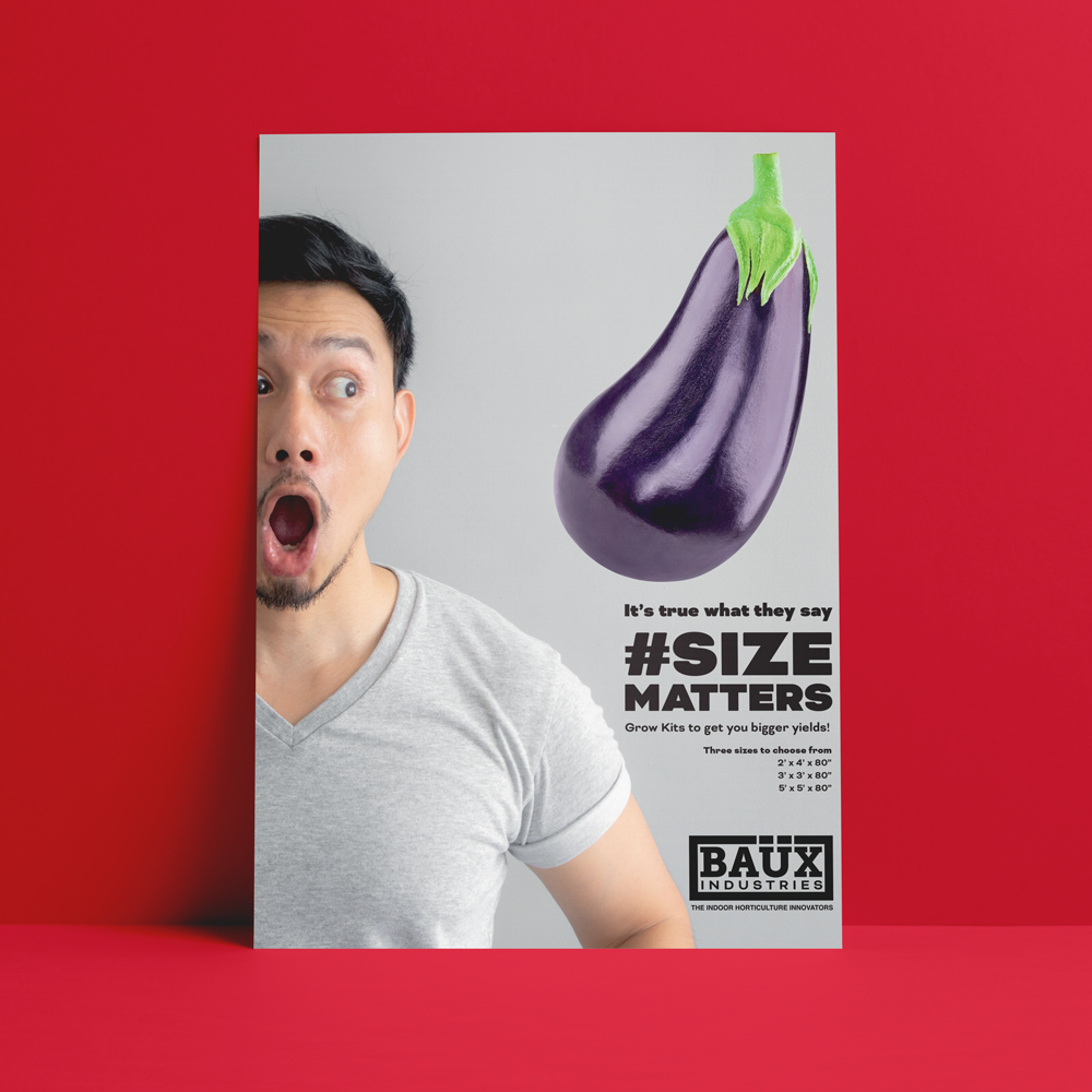 BillyAdamJamesPortfolio-BaüxINdustries-Wesbite_Flyer-1 BillyAdamJamesPortfolio-BaüxINdustries-Wesbite_Flyer-1