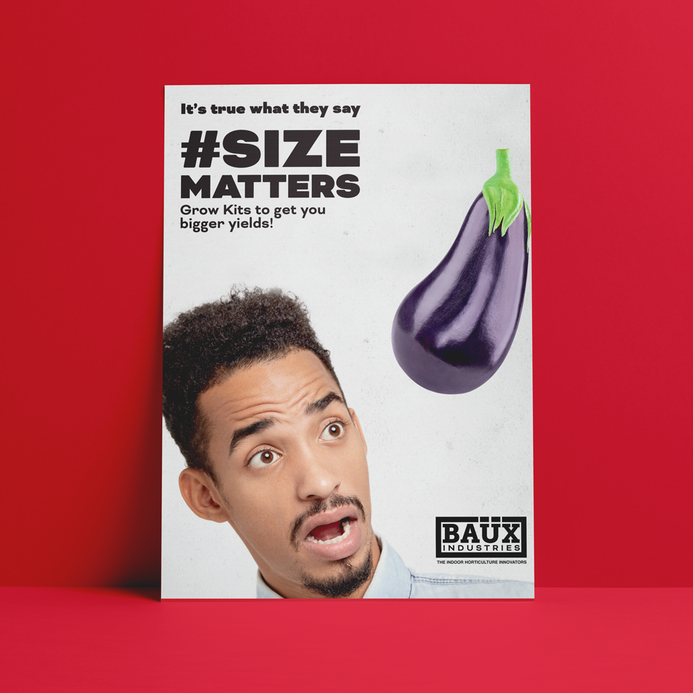 BillyAdamJamesPortfolio-BaüxINdustries-Wesbite_Flyer-2 BillyAdamJamesPortfolio-BaüxINdustries-Wesbite_Flyer-2