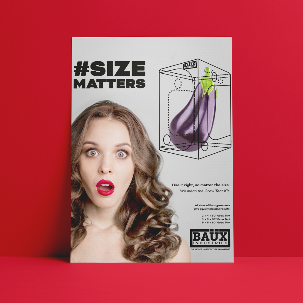 BillyAdamJamesPortfolio-BaüxINdustries-Wesbite_Flyer-3 BillyAdamJamesPortfolio-BaüxINdustries-Wesbite_Flyer-3